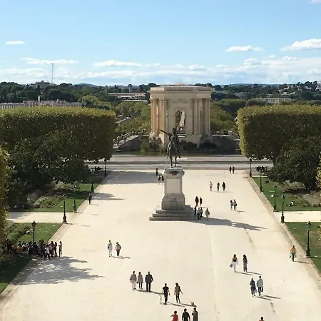 De L'amandier Montpellier